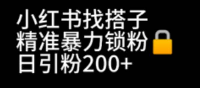 小红书找搭子暴力精准锁粉+引流日引200+精准粉吉晟搞钱-网创项目资源站-副业项目-创业项目-搞钱项目吉晟搞钱