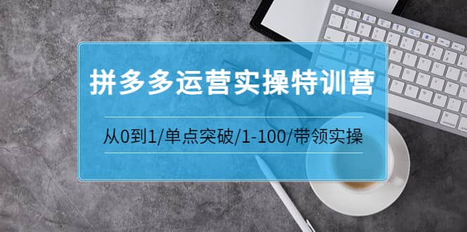 拼多多运营实操特训营：从0到1/单点突破/1-100/带领实操 价值2980元吉晟搞钱-网创项目资源站-副业项目-创业项目-搞钱项目吉晟搞钱