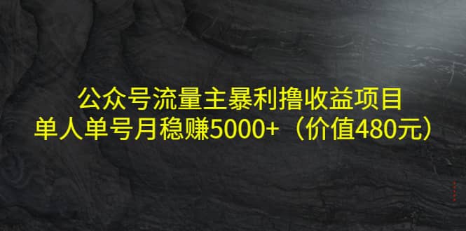 公众号流量主暴利撸收益项目，单人单号月稳赚5000+（价值480元）吉晟搞钱-网创项目资源站-副业项目-创业项目-搞钱项目吉晟搞钱