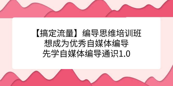 【搞定流量】编导思维培训班,想成为优秀自媒体编导先学自媒体编导通识1.0吉晟搞钱-网创项目资源站-副业项目-创业项目-搞钱项目吉晟搞钱