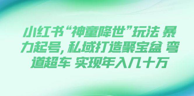 小红书“神童降世”玩法 暴力起号,私域打造聚宝盆 弯道超车 实现年入几十万吉晟搞钱-网创项目资源站-副业项目-创业项目-搞钱项目吉晟搞钱