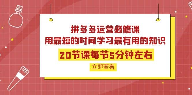 拼多多运营必修课：20节课每节5分钟左右，用最短的时间学习最有用的知识吉晟搞钱-网创项目资源站-副业项目-创业项目-搞钱项目吉晟搞钱