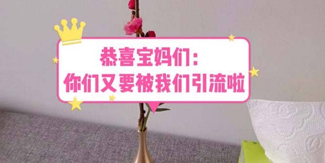 恭喜宝妈们：你们又要被我们引流了（教程+222g资料）吉晟搞钱-网创项目资源站-副业项目-创业项目-搞钱项目吉晟搞钱