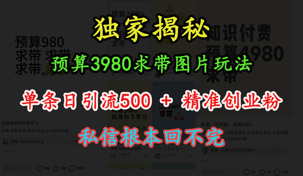 “小红书”预算3980求带 图片玩法,单条日引流500+精准创业粉,私信根本回不完吉晟搞钱-网创项目资源站-副业项目-创业项目-搞钱项目吉晟搞钱