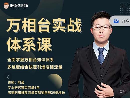 阿呆-万相台实战体系课，帮您全面掌握万相台知识体系吉晟搞钱-网创项目资源站-副业项目-创业项目-搞钱项目吉晟搞钱