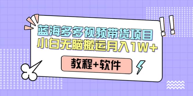 人人都能操作的蓝海多多视频带货项目 小白无脑搬运（教程+软件）吉晟搞钱-网创项目资源站-副业项目-创业项目-搞钱项目吉晟搞钱