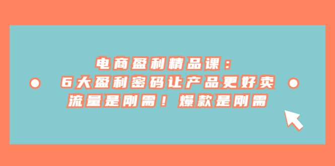 电商 盈利精品课：6大盈利 密码让产品更好卖，流量是刚需！爆款是刚需吉晟搞钱-网创项目资源站-副业项目-创业项目-搞钱项目吉晟搞钱