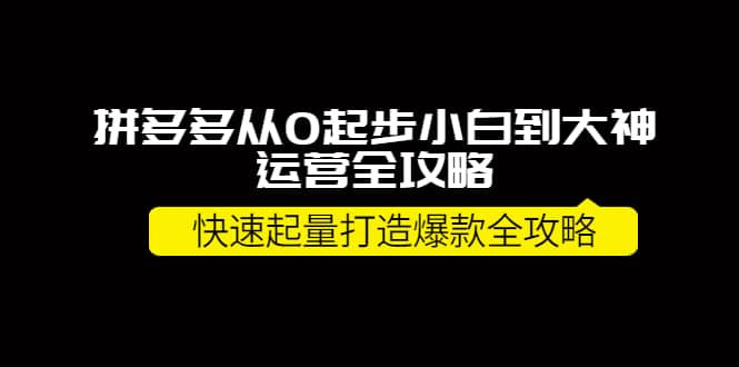 拼多多从0起步小白到大神运营全攻略吉晟搞钱-网创项目资源站-副业项目-创业项目-搞钱项目吉晟搞钱