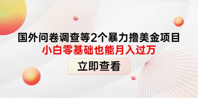 国外问卷调查等2个暴力撸美元项目，小白零基础也能月入过万吉晟搞钱-网创项目资源站-副业项目-创业项目-搞钱项目吉晟搞钱