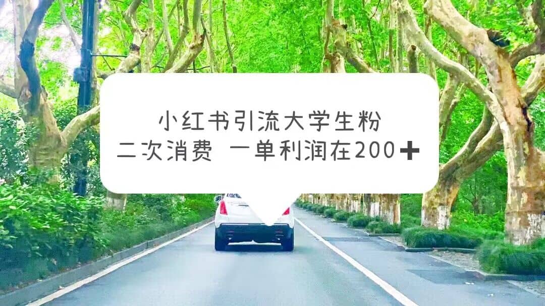 小红书引流大学生粉，变现项目，一单利润在200+（教程+资源）吉晟搞钱-网创项目资源站-副业项目-创业项目-搞钱项目吉晟搞钱