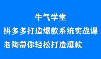 牛气学堂拼多多打造爆款系统实战课,老陶带你轻松打造爆款吉晟搞钱-网创项目资源站-副业项目-创业项目-搞钱项目吉晟搞钱
