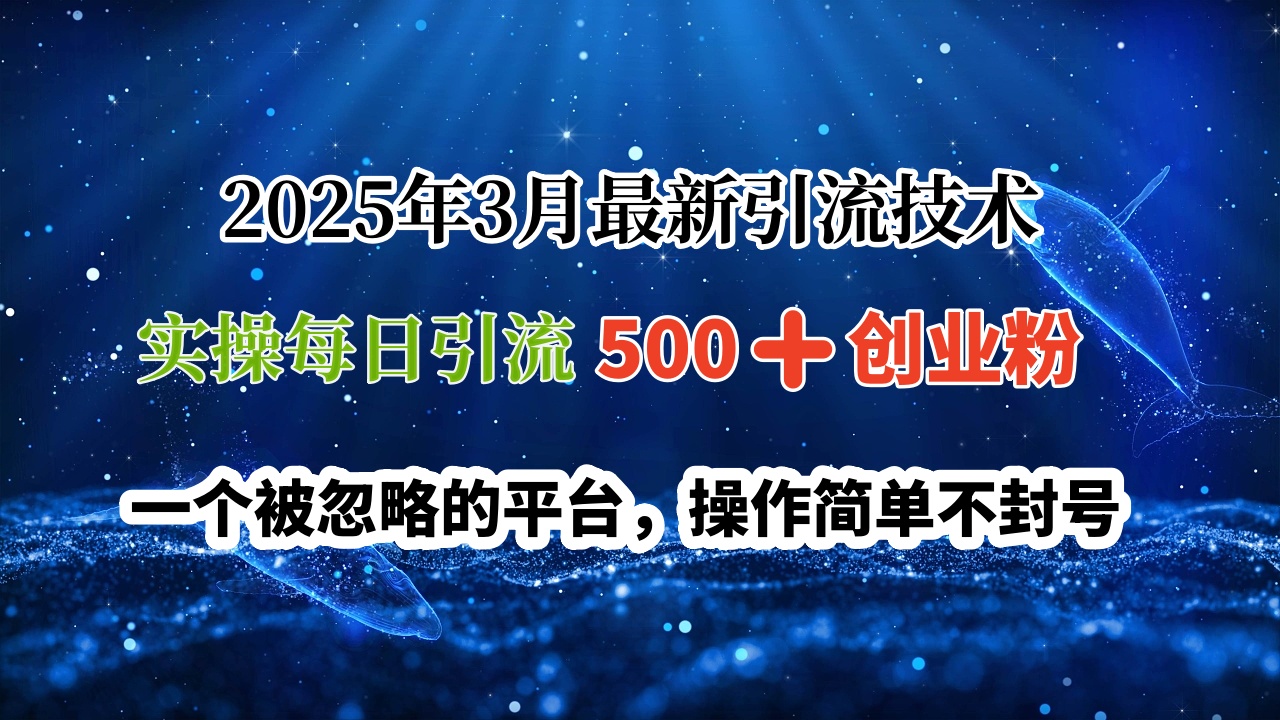 2025年3月最新引流技术，实操每日引流500➕创业粉，一个被忽略的平台，操作简单不封号吉晟搞钱-网创项目资源站-副业项目-创业项目-搞钱项目吉晟搞钱