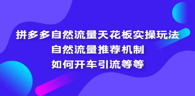 拼多多自然流量天花板实操玩法：自然流量推荐机制，如何开车引流等等吉晟搞钱-网创项目资源站-副业项目-创业项目-搞钱项目吉晟搞钱
