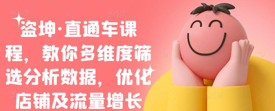 盗坤·直通车课程，教你多维度筛选分析数据，优化店铺及流量增长吉晟搞钱-网创项目资源站-副业项目-创业项目-搞钱项目吉晟搞钱