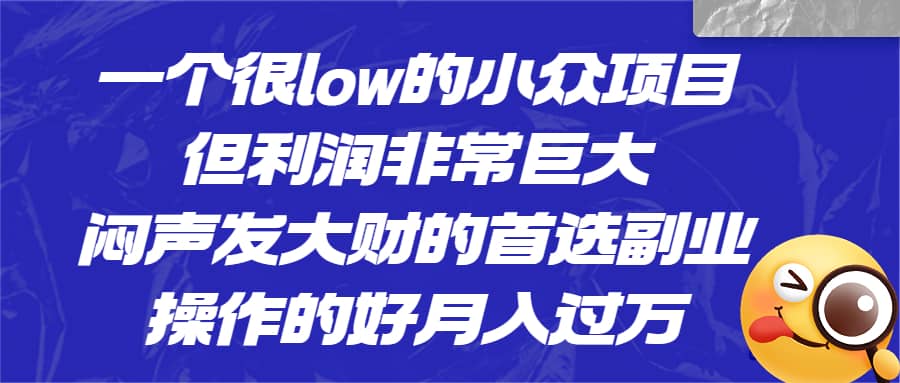 一个很low的小众项目，但利润非常巨大，闷声发大财的首选副业，月入过万吉晟搞钱-网创项目资源站-副业项目-创业项目-搞钱项目吉晟搞钱