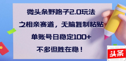 全网首发微头条野路子2.0玩法之相亲赛道，无脑搬砖复制粘贴，单账号日稳定300+保姆级教程吉晟搞钱-网创项目资源站-副业项目-创业项目-搞钱项目吉晟搞钱