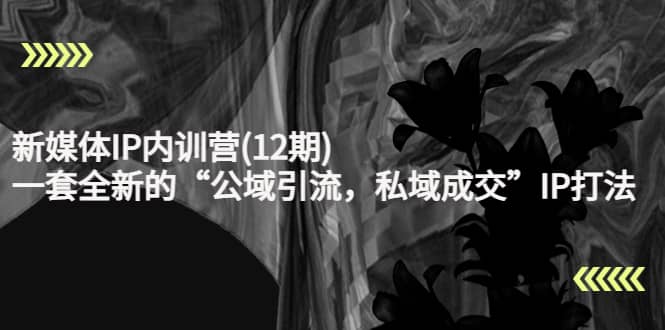 新媒体IP内训营(12期)，一套全新的“公域引流，私域成交”IP打法，直接带走吉晟搞钱-网创项目资源站-副业项目-创业项目-搞钱项目吉晟搞钱