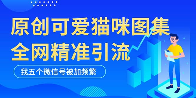 黑科技纯原创可爱猫咪图片，全网精准引流，实操5个VX号被加频繁吉晟搞钱-网创项目资源站-副业项目-创业项目-搞钱项目吉晟搞钱