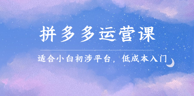 拼多多运营课，适合小白初涉平台，低成本入门吉晟搞钱-网创项目资源站-副业项目-创业项目-搞钱项目吉晟搞钱