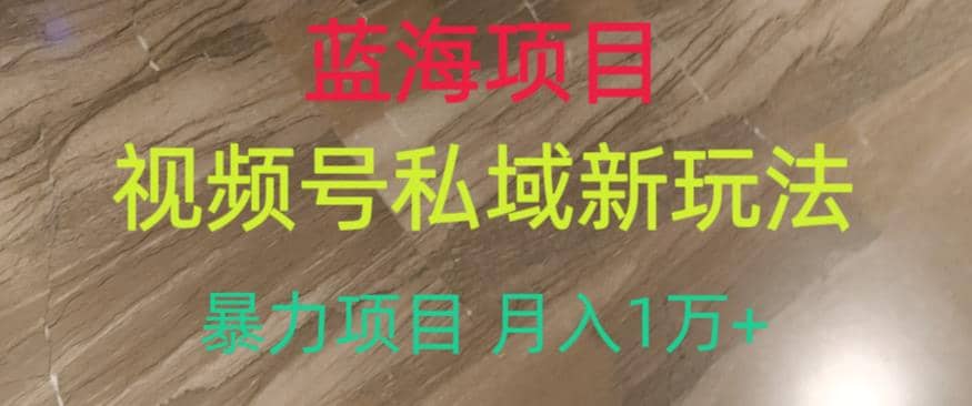 蓝海项目，视频号私域新玩法，暴力项目月入1万+【揭秘】吉晟搞钱-网创项目资源站-副业项目-创业项目-搞钱项目吉晟搞钱