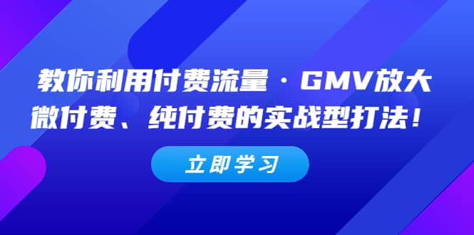 教你利用付费流量·GMV放大，微付费、纯付费的实战型打法吉晟搞钱-网创项目资源站-副业项目-创业项目-搞钱项目吉晟搞钱