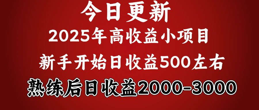 2025开年好项目，新手日收益500+ 熟练掌握后，日收益平均2000多吉晟搞钱-网创项目资源站-副业项目-创业项目-搞钱项目吉晟搞钱