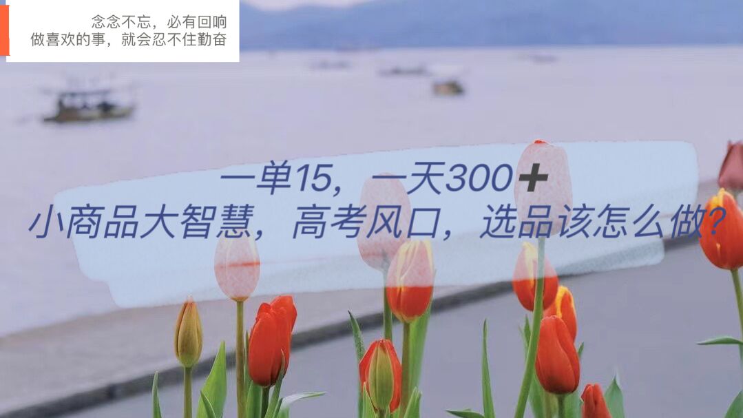 一单15，一天300+，小商品大智慧，高考风口，选品该怎么布局吉晟搞钱-网创项目资源站-副业项目-创业项目-搞钱项目吉晟搞钱
