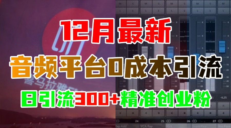 12月最新：音频平台0成本引流，日引300+精准创业粉吉晟搞钱-网创项目资源站-副业项目-创业项目-搞钱项目吉晟搞钱