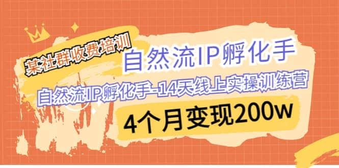 某社群收费培训：自然流IP 孵化手-14天线上实操训练营 4个月变现200w吉晟搞钱-网创项目资源站-副业项目-创业项目-搞钱项目吉晟搞钱