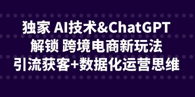 独家 AI技术ChatGPT解锁 跨境电商新玩法，引流获客+数据化运营思维吉晟搞钱-网创项目资源站-副业项目-创业项目-搞钱项目吉晟搞钱