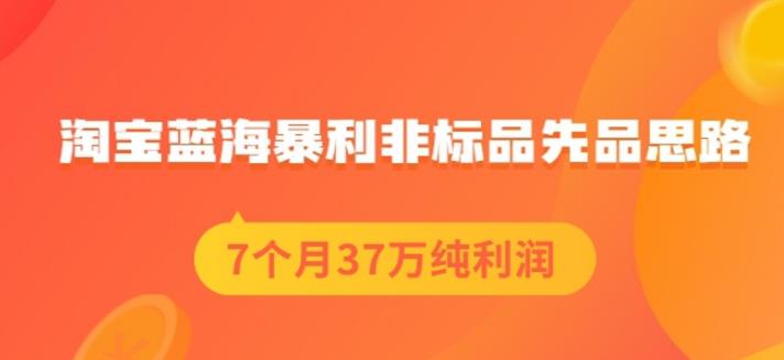 盗坤淘宝蓝海暴利非标品先品思路，7个月37万纯利润，压箱干货分享！【付费文章】吉晟搞钱-网创项目资源站-副业项目-创业项目-搞钱项目吉晟搞钱