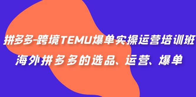 拼多多-跨境TEMU爆单实操运营培训班，海外拼多多的选品、运营、爆单吉晟搞钱-网创项目资源站-副业项目-创业项目-搞钱项目吉晟搞钱