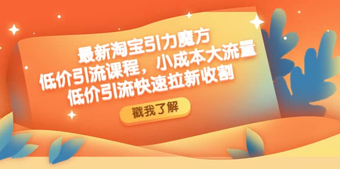 最新淘宝引力魔方低价引流实操：小成本大流量吉晟搞钱-网创项目资源站-副业项目-创业项目-搞钱项目吉晟搞钱