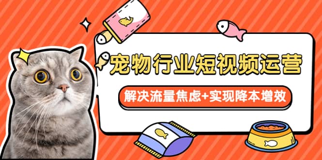宠物/行业短视频运营 流量增长的一层窗户纸 解决流量焦虑+实现降本增效吉晟搞钱-网创项目资源站-副业项目-创业项目-搞钱项目吉晟搞钱