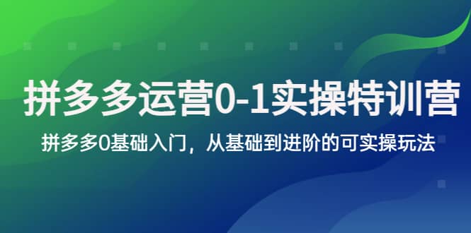 拼多多-运营0-1实操训练营，拼多多0基础入门，从基础到进阶的可实操玩法吉晟搞钱-网创项目资源站-副业项目-创业项目-搞钱项目吉晟搞钱