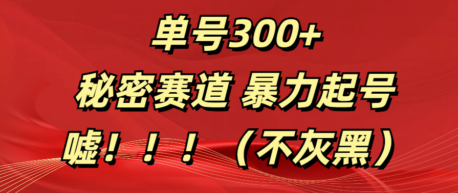 单号300+  秘密赛道 暴力起号  （不灰黑）吉晟搞钱-网创项目资源站-副业项目-创业项目-搞钱项目吉晟搞钱