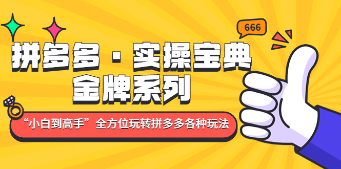 拼多多·实操宝典：金牌系列“小白到高手”带你全方位玩转拼多多各种玩法吉晟搞钱-网创项目资源站-副业项目-创业项目-搞钱项目吉晟搞钱