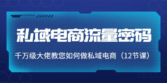 私域电商流量密码：千万级大佬教您如何做私域电商（12节课）吉晟搞钱-网创项目资源站-副业项目-创业项目-搞钱项目吉晟搞钱
