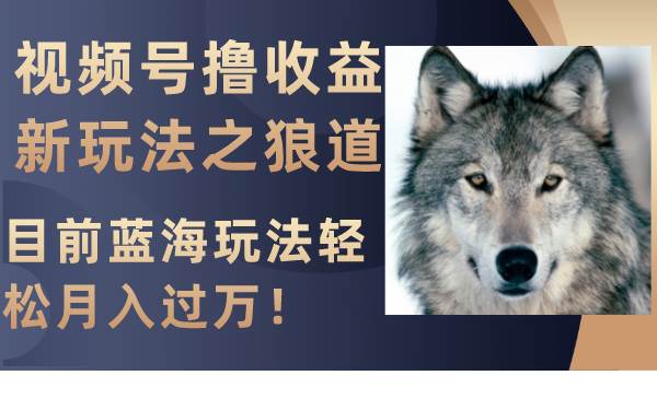 视频号撸收益新玩法之狼道，目前蓝海玩法轻松月入过万！吉晟搞钱-网创项目资源站-副业项目-创业项目-搞钱项目吉晟搞钱