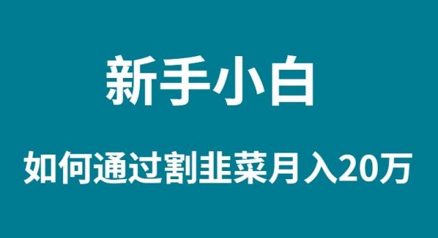 新手小白如何通过割韭菜月入 20W吉晟搞钱-网创项目资源站-副业项目-创业项目-搞钱项目吉晟搞钱