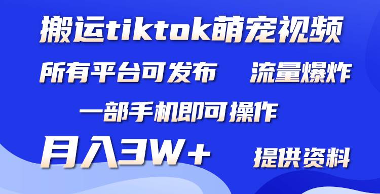 搬运Tiktok萌宠类视频，一部手机即可。所有短视频平台均可操作，月入3W+吉晟搞钱-网创项目资源站-副业项目-创业项目-搞钱项目吉晟搞钱