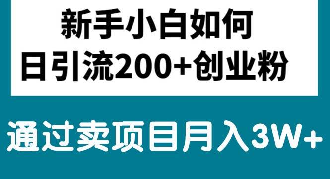 新手小白日引流200+创业粉,通过卖项目月入3W+吉晟搞钱-网创项目资源站-副业项目-创业项目-搞钱项目吉晟搞钱