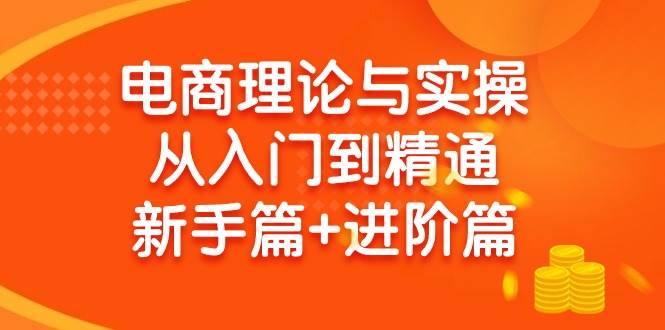 电商理论与实操从入门到精通 新手篇+进阶篇吉晟搞钱-网创项目资源站-副业项目-创业项目-搞钱项目吉晟搞钱