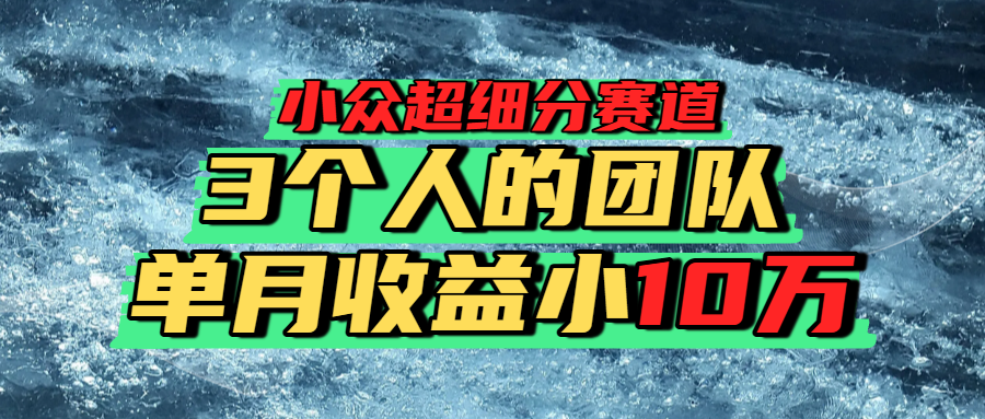 小众超细分赛道，一年百万利润的盘子！吉晟搞钱-网创项目资源站-副业项目-创业项目-搞钱项目吉晟搞钱