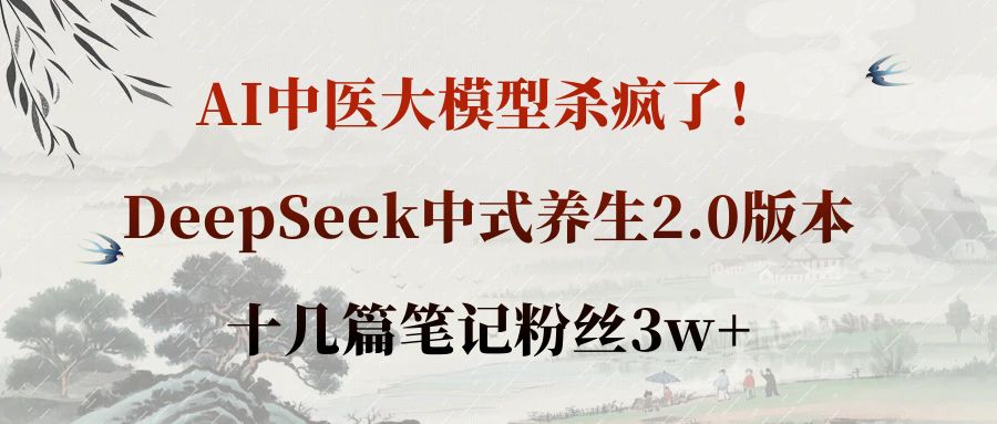 AI中医大模型杀疯了！DeepSeek中式养生2.0版本，十几篇笔记粉丝3w+吉晟搞钱-网创项目资源站-副业项目-创业项目-搞钱项目吉晟搞钱